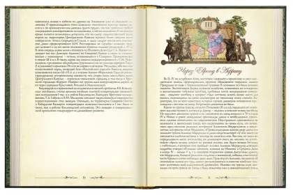 «Очерки истории алан» - миниатюра 4