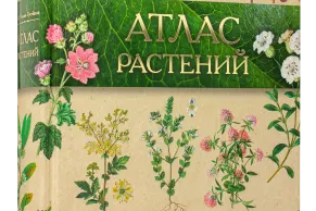 «Атлас растений» - миниатюра 1