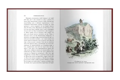 Робинзон Крузо - миниатюра 5