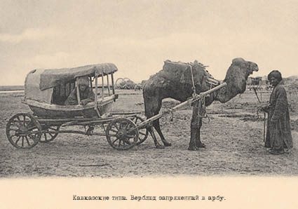 Набор открыток «Кавказские типы 2» - изображение 4