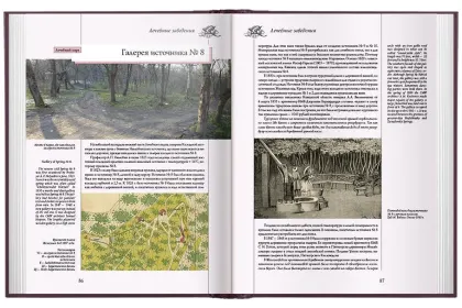 Архитектура Железноводска и Ессентуков - миниатюра 13