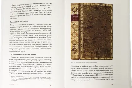 Учебник переплётного дела во всех его аспектах - миниатюра 7
