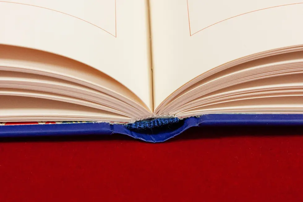 Сказки русского народа в пяти книгах. Книга первая. - изображение 11