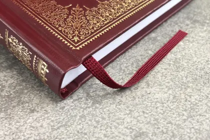 Шекспир. Сонеты - миниатюра 19