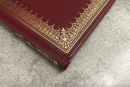 Шекспир. Сонеты - миниатюра 8