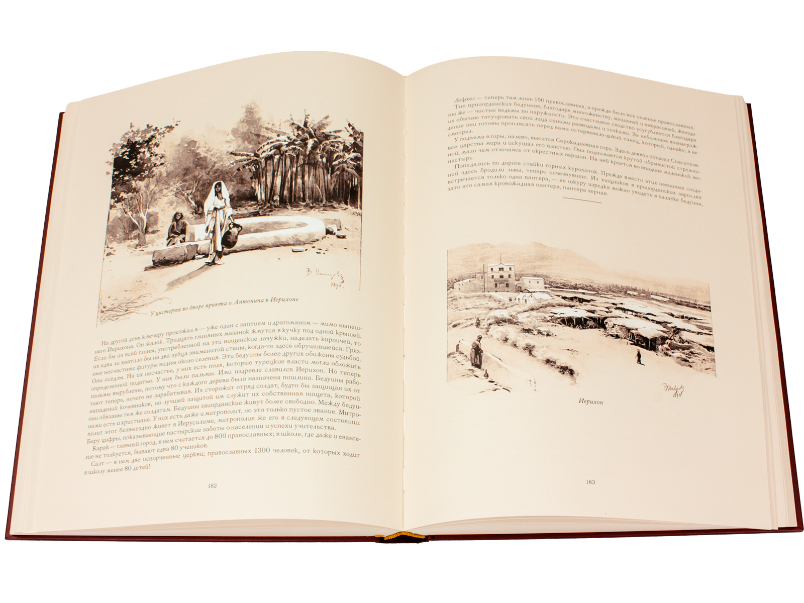 Палестина - изображение 7