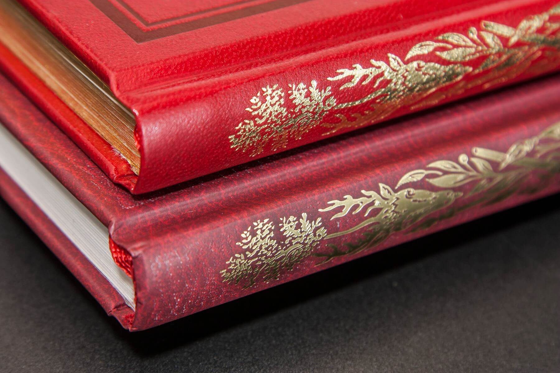 «Приключения барона Мюнхгаузена» - изображение 6