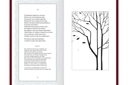 Шекспир. Сонеты - миниатюра 13