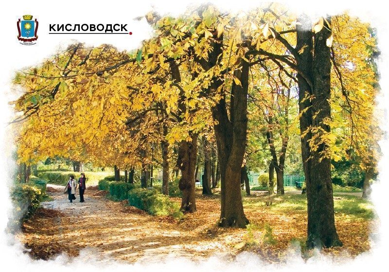 Набор «Почтовых открыток Кисловодск 2» - изображение 12