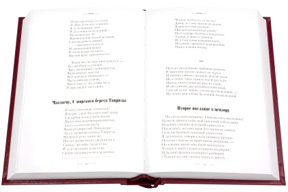 Стихотворения Александра Сергеевича Пушкина - миниатюра 11