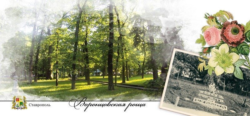 Набор открыток «Ставрополь» - изображение 28