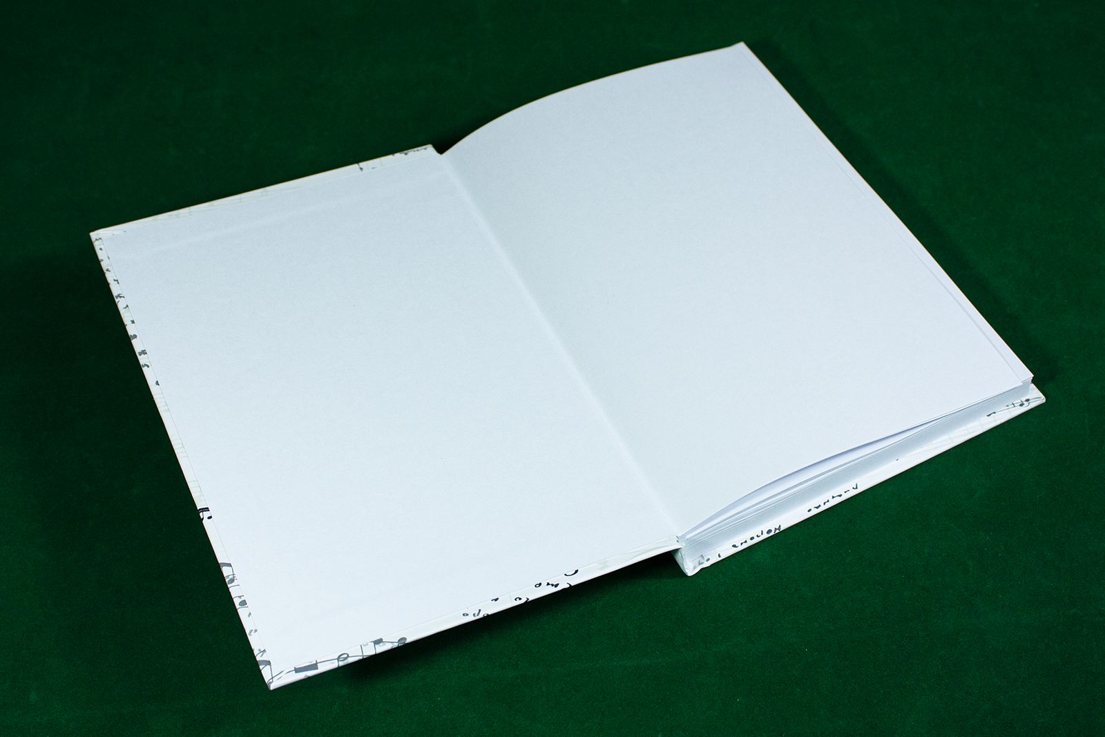 Есенин в музыке - изображение 16