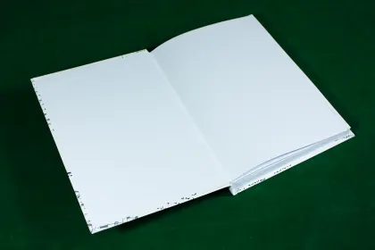 Есенин в музыке - миниатюра 16