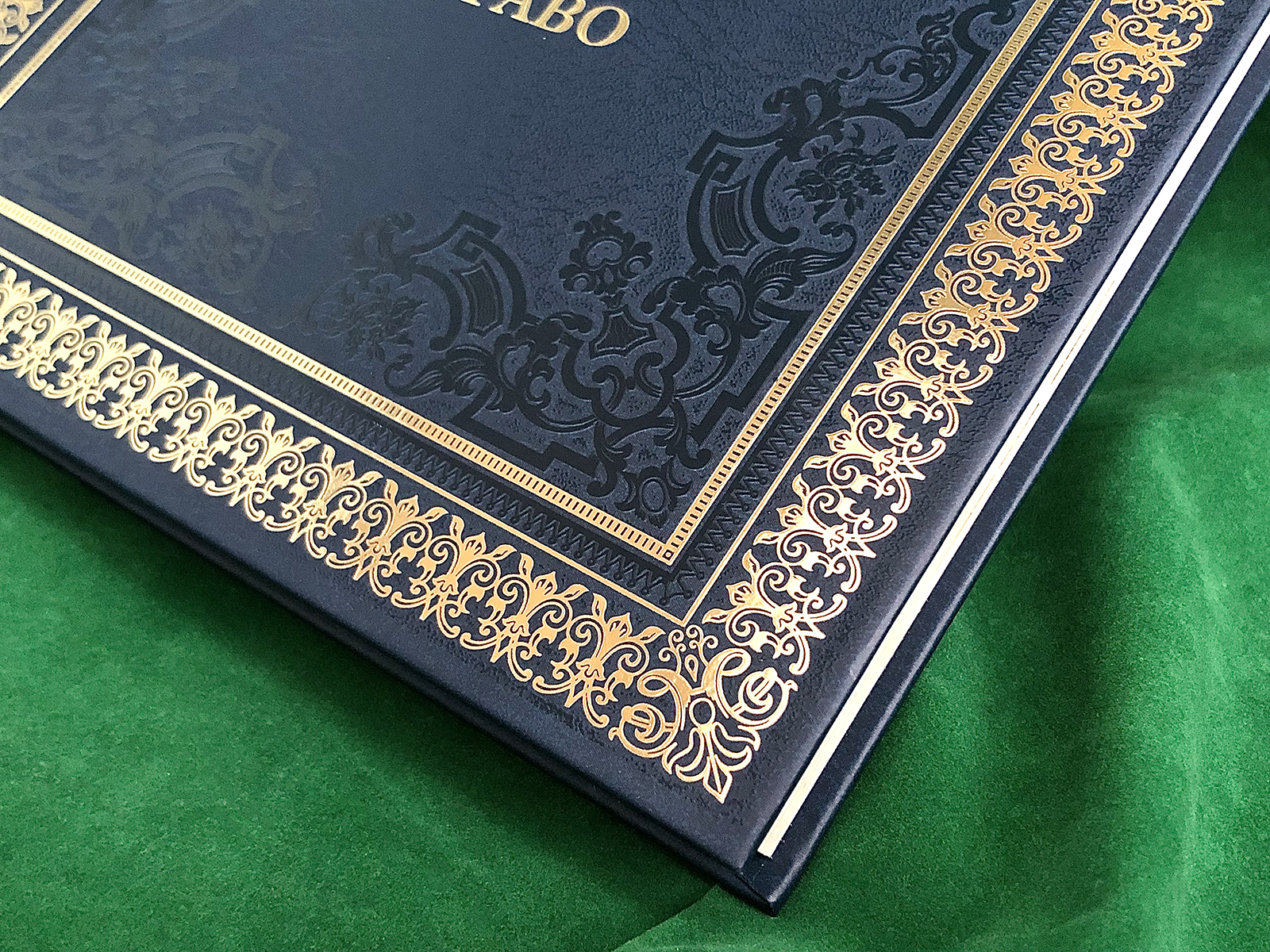 Северный Кавказ: Власть. Суд. Право - изображение 5