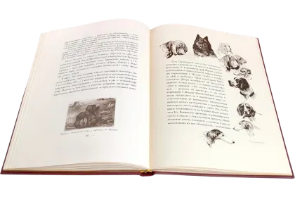 Императорская охота на Руси. Конец XVIII и XIХ век (Том IV) - миниатюра 13