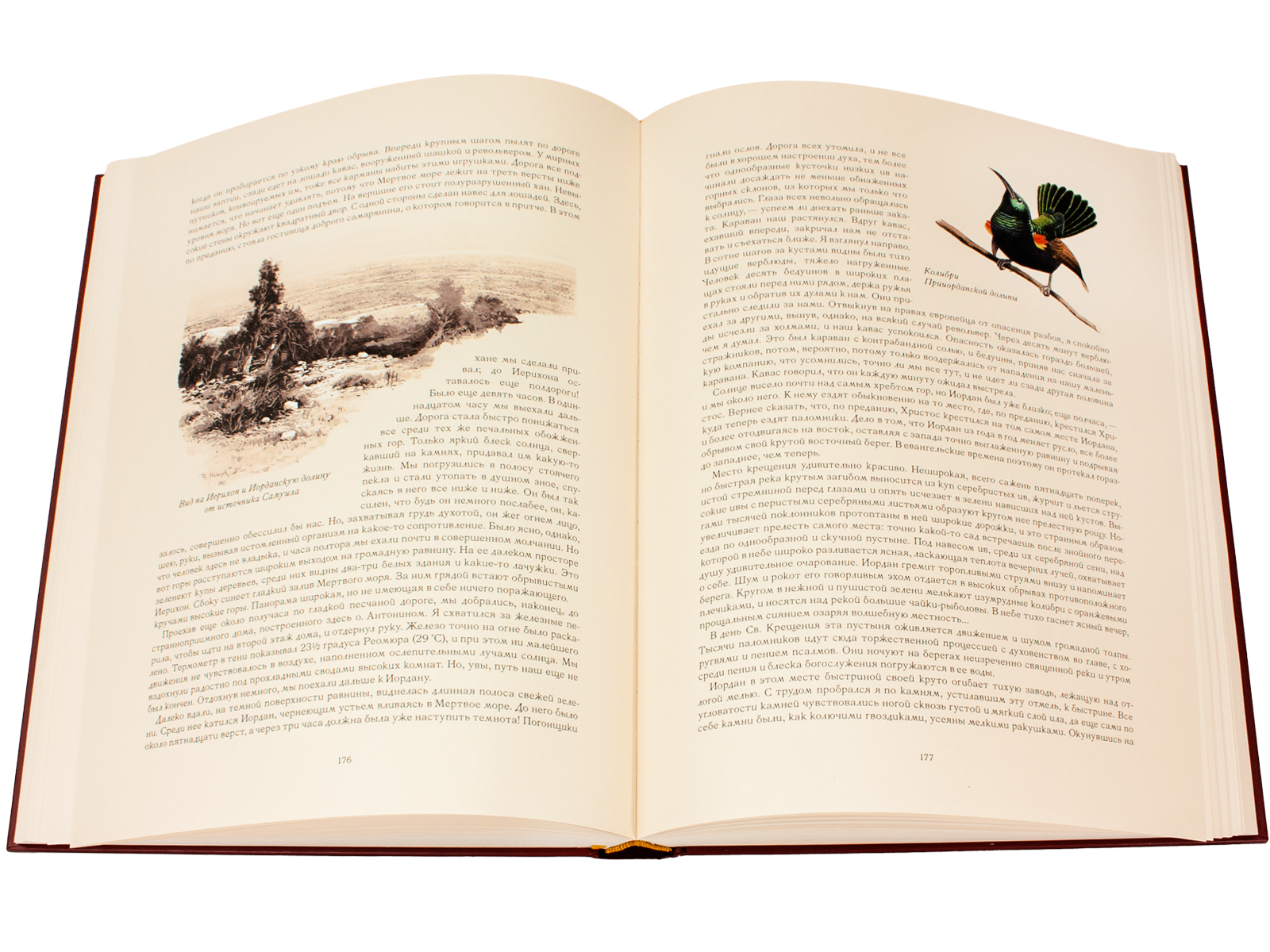 Палестина - изображение 2