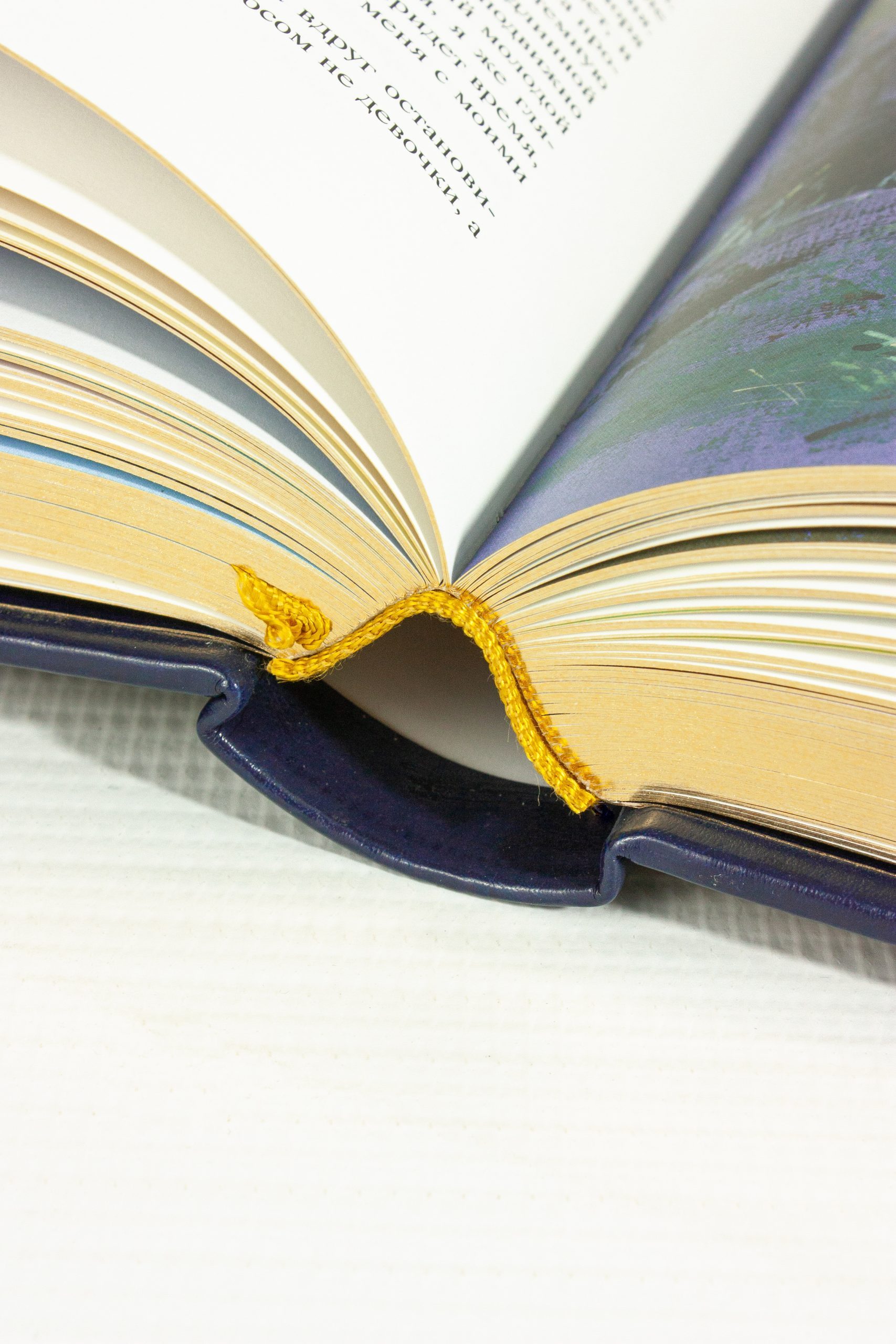 А. П. Чехов «Повести и рассказы». Премиум - изображение 16