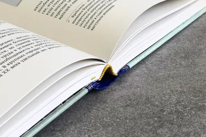 Истории курортной жизни на Водах начала XX века (Книга II) - миниатюра 20