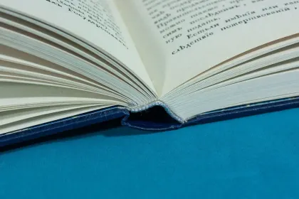 Тургенев Николай Иванович. Опыт теории налогов - миниатюра 7