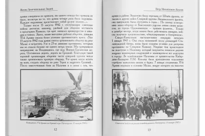 Жизнь Замечательных Людей Выпуск 16. Пётр Михайлович Козлов - миниатюра 5