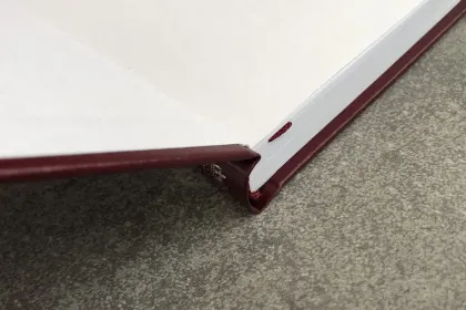 Шекспир. Сонеты - миниатюра 21