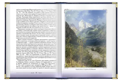 «Кавказские этюды» - миниатюра 3