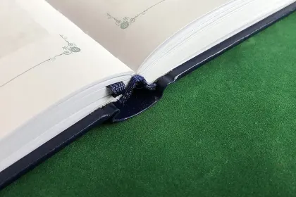 Евгений Онегин - миниатюра 19