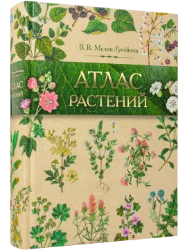 «Атлас растений» - изображение 9