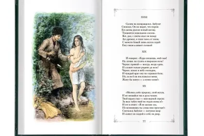 Стихотворения и поэмы - миниатюра 22