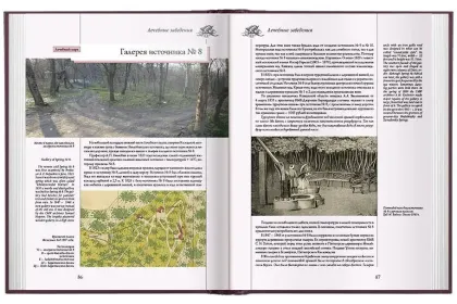 Архитектура Железноводска и Ессентуков - миниатюра 13