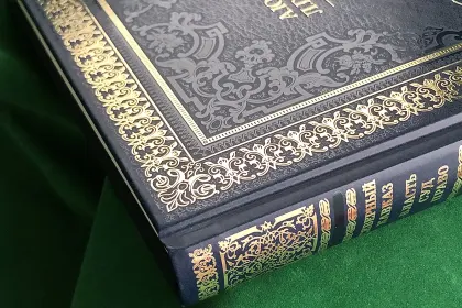 Северный Кавказ: Власть. Суд. Право - миниатюра 11