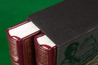 Избранные сочинения А. С. Пушкина Стандарт - миниатюра 12