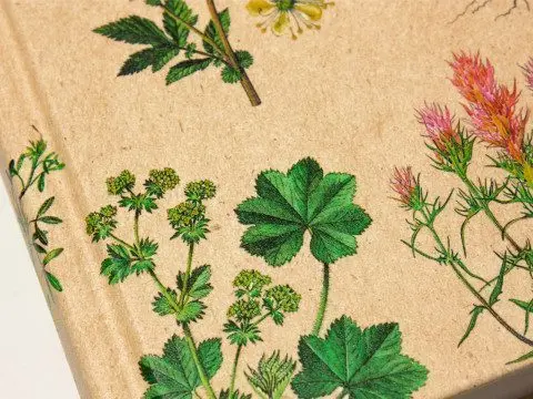 «Атлас растений» - миниатюра 8