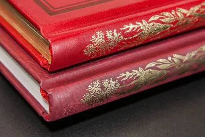 Приключения барона Мюнхгаузена. VIP - миниатюра 11