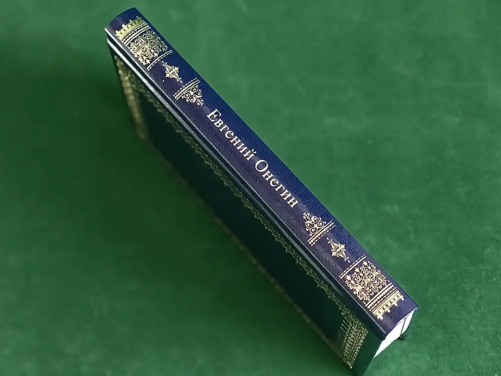 Евгений Онегин - изображение 9