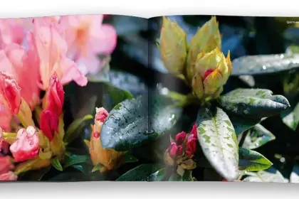 «Эльбрус. Новый взгляд» - миниатюра 12