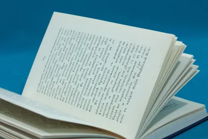 Тургенев Николай Иванович. Опыт теории налогов - миниатюра 8