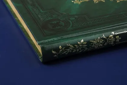 Сказки Вильгельма Гауфа - миниатюра 7