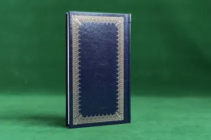 Евгений Онегин - миниатюра 13