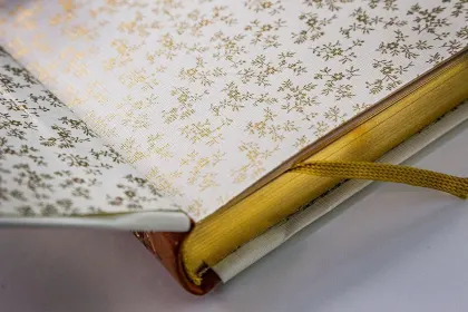 Лис Патрикеич - миниатюра 15