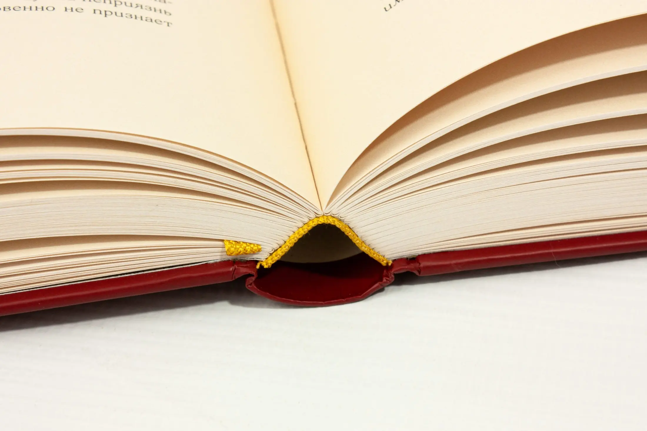 Палестина - изображение 14