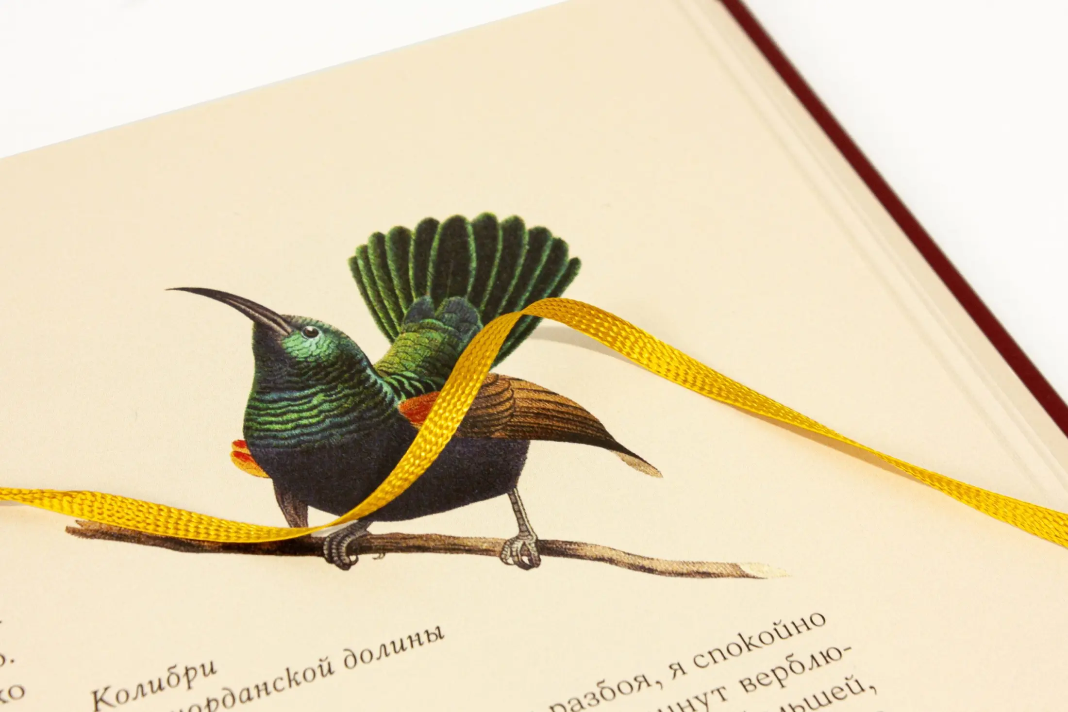 Палестина - изображение 15