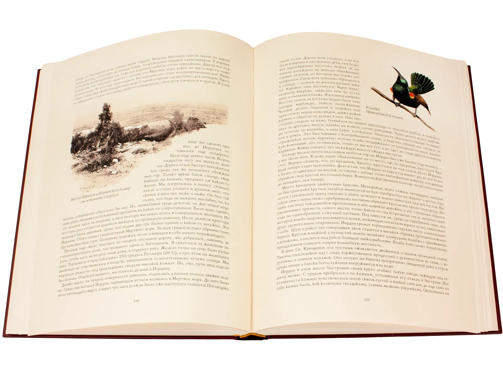 Палестина - изображение 2