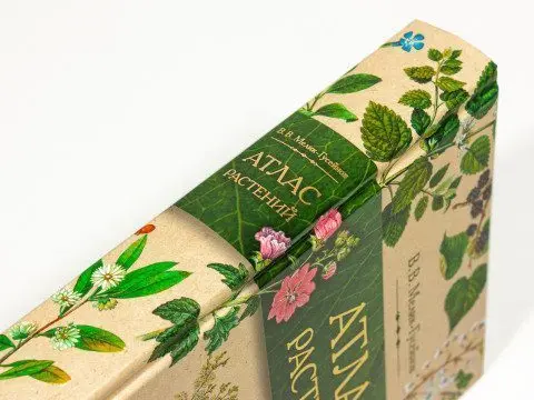 «Атлас растений» - изображение 24